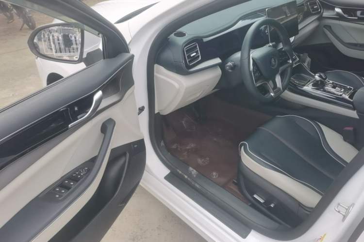 Used BYD Qin PLUS 2021 EV 500KM Premium Model Driver Seat