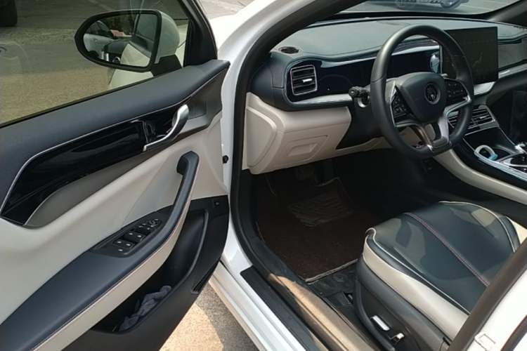 Used BYD Qin PLUS 2021 EV 500KM Premium Model Driver Seat