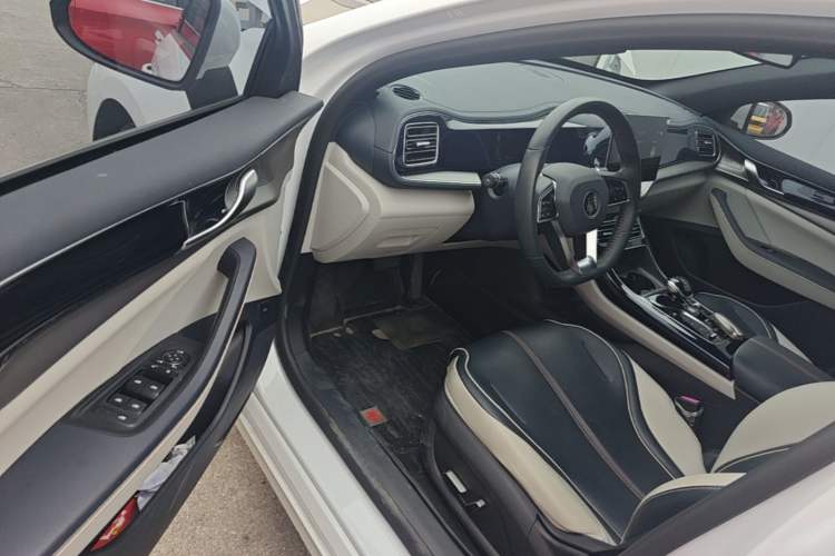 Used BYD Qin PLUS 2021 DM-i 55KM Flagship Model Driver Seat