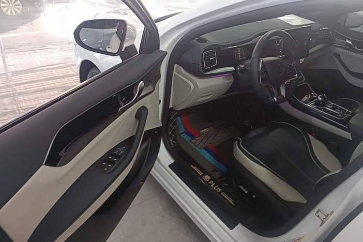 Used BYD Qin PLUS 2021 EV 500KM Premium Model Driver Seat