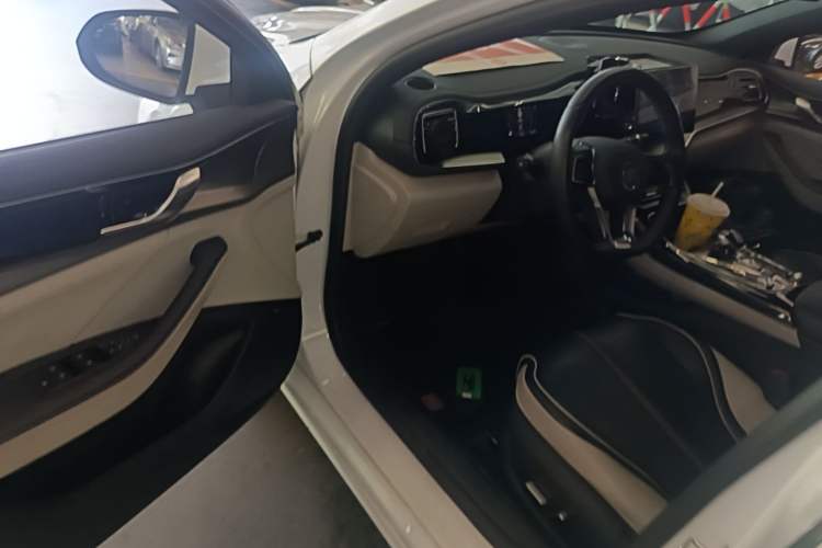 Used BYD Qin PLUS 2021 DM-i 55KM Flagship Model Driver Seat