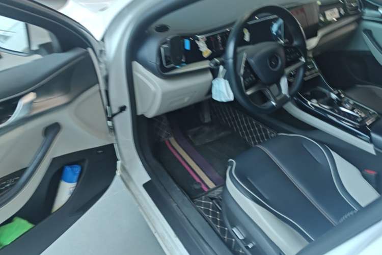 Used BYD Qin PLUS 2021 EV 500KM Luxury Model Driver Seat
