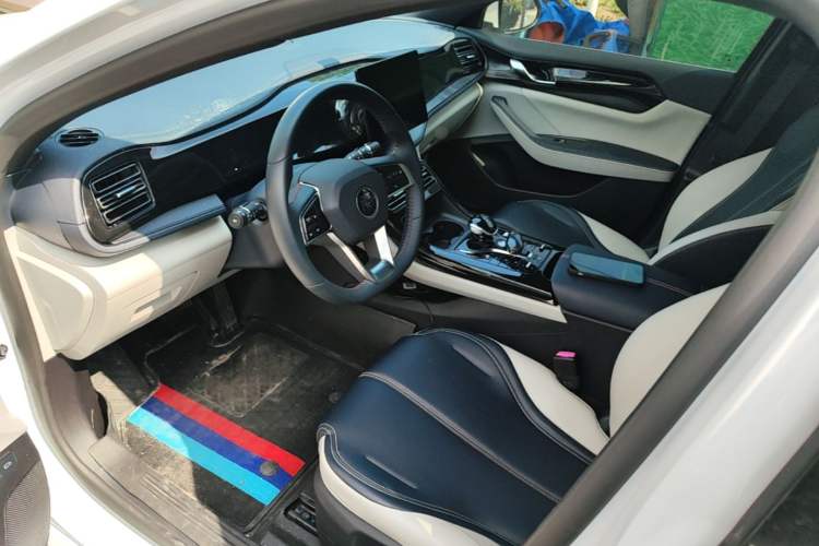 Used BYD Qin PLUS 2021 DM-i 55KM Prestige Model Driver Seat