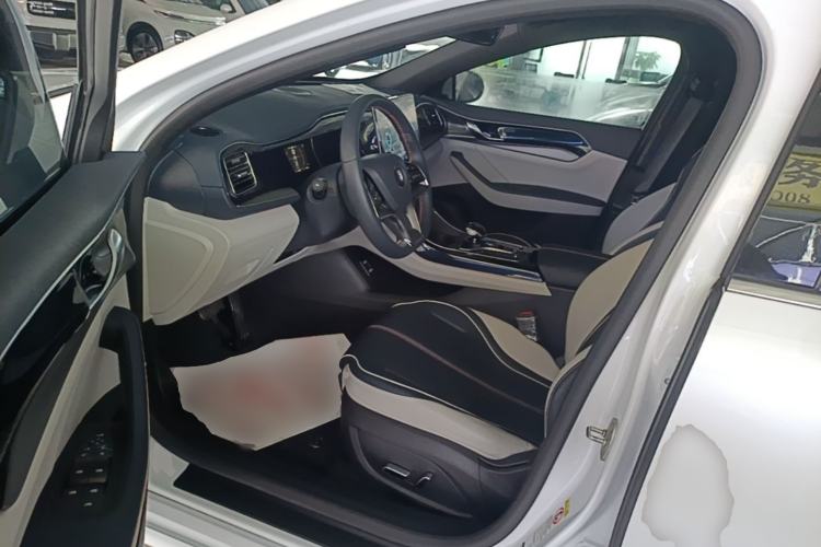 Used BYD Qin PLUS 2021 EV 500KM Premium Model Driver Seat