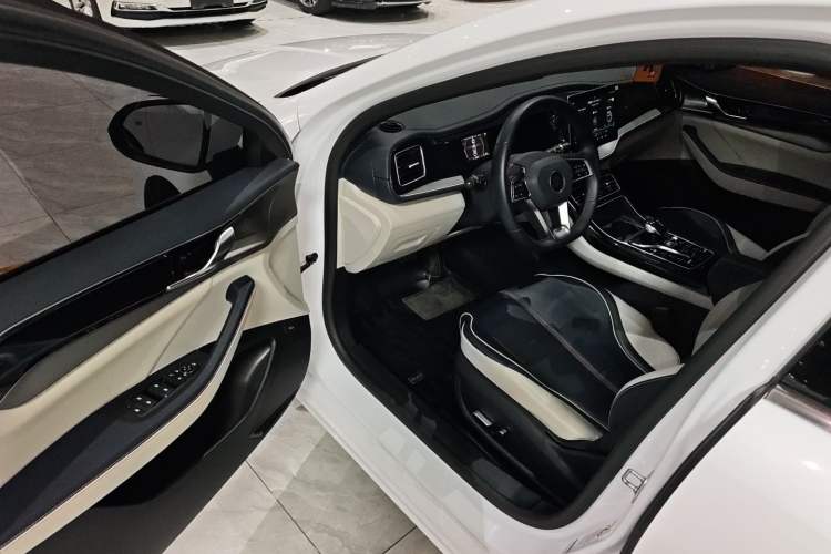 Used BYD Qin PLUS 2021 DM-i 55KM Flagship Model Driver Seat