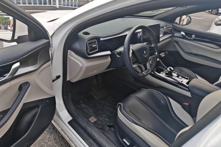 Used BYD Qin PLUS 2021 EV 500KM Premium Model Driver Seat