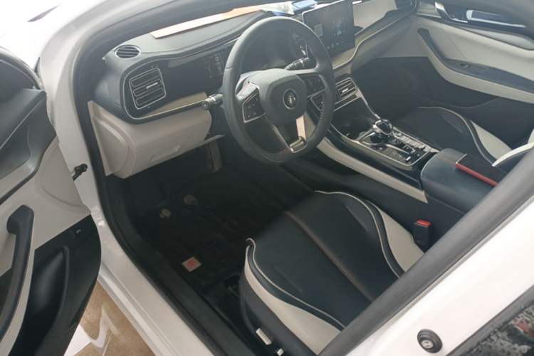 Used BYD Qin PLUS 2021 DM-i 55KM Flagship Model Driver Seat