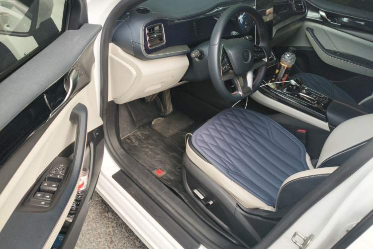 Used BYD Qin PLUS 2021 EV 500KM Luxury Model Driver Seat