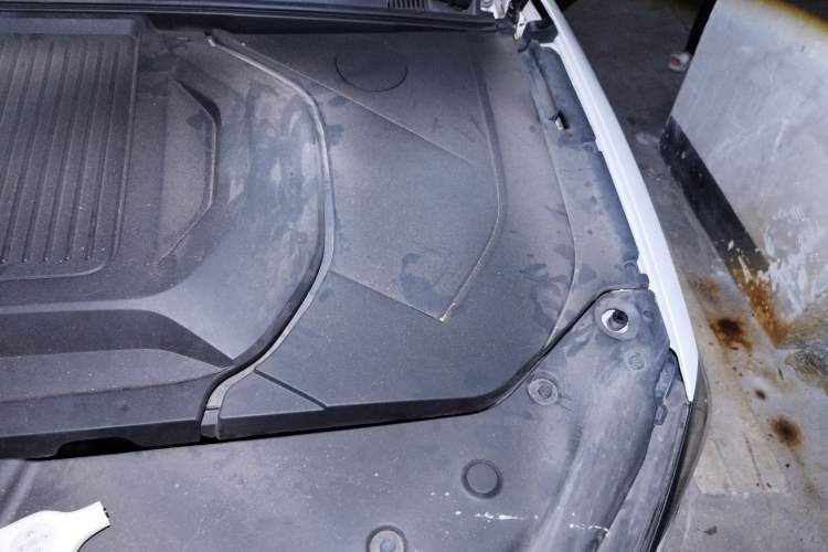Used BYD Qin PLUS 2021 EV 500KM Luxury Model Engine Bay Left