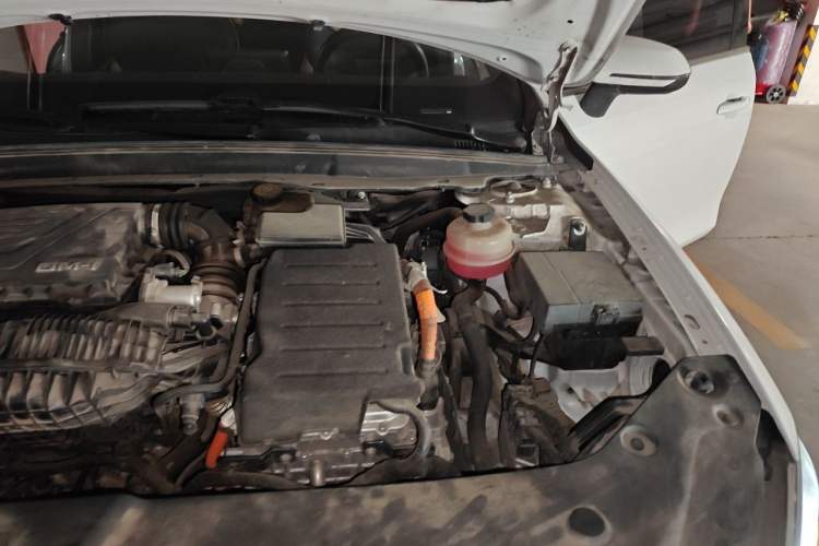 Used BYD Qin PLUS 2021 DM-i 55KM Flagship Model Engine Bay Left
