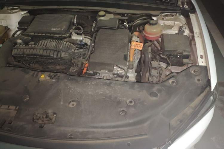 Used BYD Qin PLUS 2021 DM-i 120KM Prestige Model Engine Bay Left