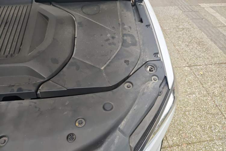 Used BYD Qin PLUS 2021 EV 500KM Luxury Model Engine Bay Left