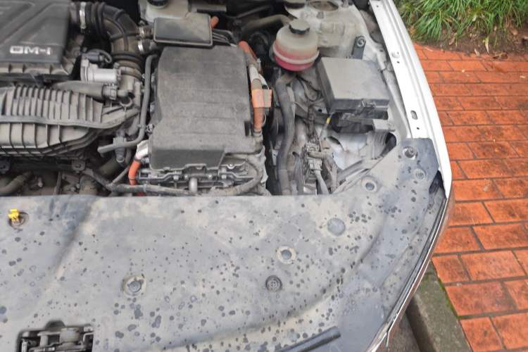 Used BYD Qin PLUS 2021 DM-i 55KM Flagship Model Engine Bay Left