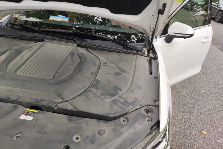 Used BYD Qin PLUS 2021 EV 600KM Flagship Model Engine Bay Left