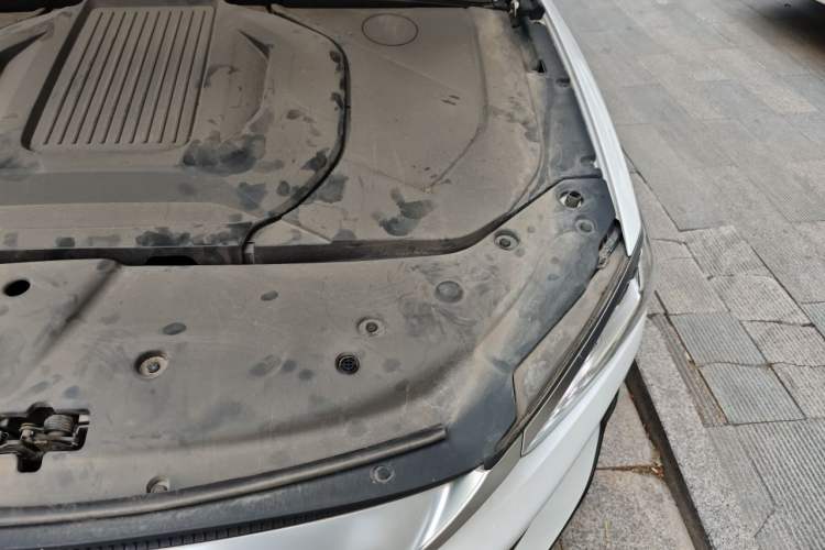 Used BYD Qin PLUS 2021 EV 400KM Luxury Model Engine Bay Left