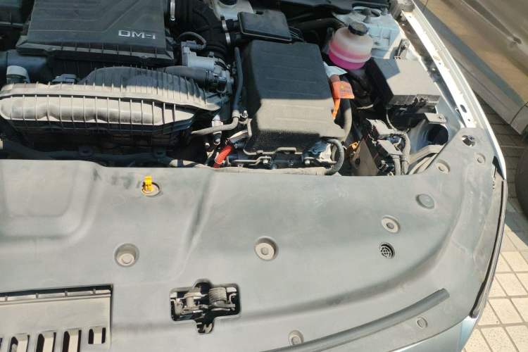 Used BYD Qin PLUS 2021 DM-i 55KM Flagship Model Engine Bay Left