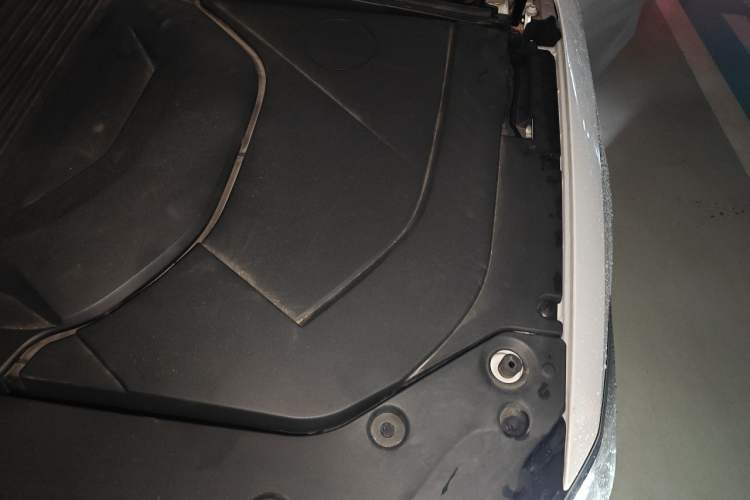 Used BYD Qin PLUS 2021 EV 500KM Luxury Model Engine Bay Left
