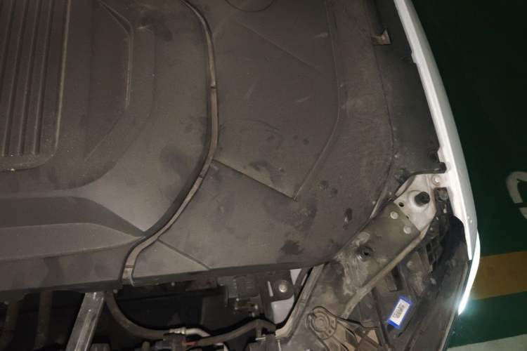 Used BYD Qin PLUS 2021 EV 500KM Luxury Model Engine Bay Left