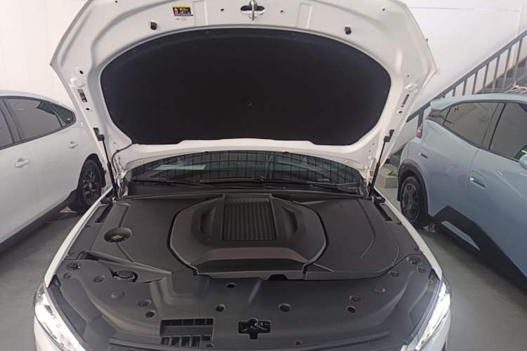Used BYD Qin PLUS 2021 EV 500KM Premium Model Engine Bay