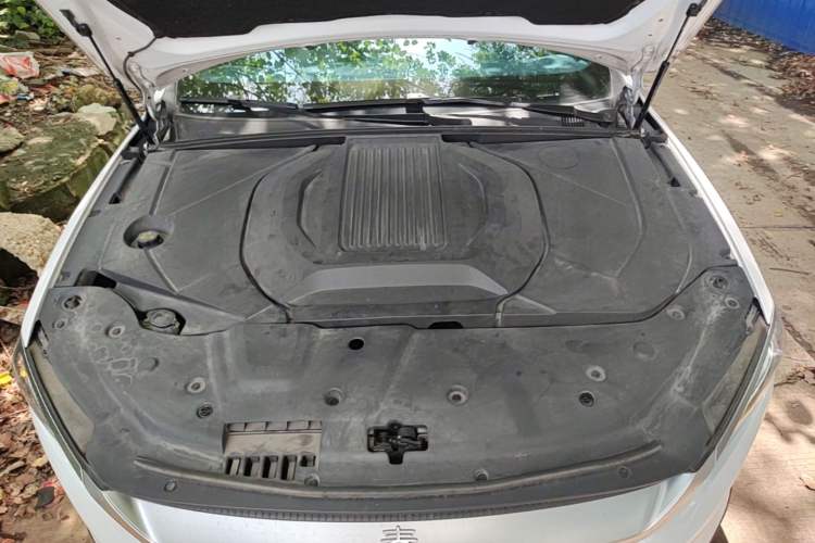 Used BYD Qin PLUS 2021 EV 600KM Flagship Model Engine Bay