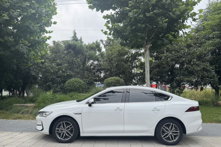 Used BYD Qin PLUS 2021 EV 400KM Luxury Model Exterior 1