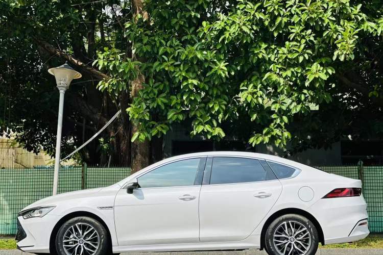 Used BYD Qin PLUS 2021 DM-i 55KM Flagship Model Exterior 1