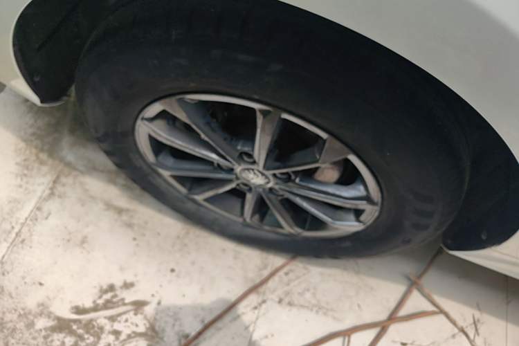 Used BYD Qin PLUS 2021 EV 400KM Leading Comfort Edition Exterior 5