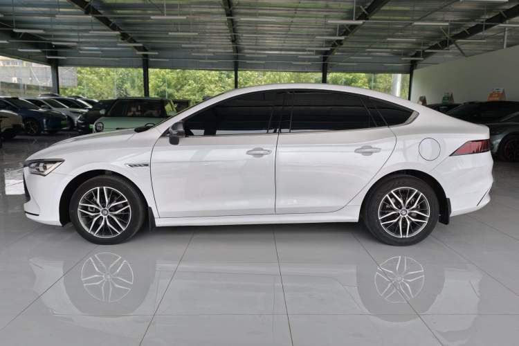 Used BYD Qin PLUS 2021 DM-i 120KM Prestige Model Exterior 6