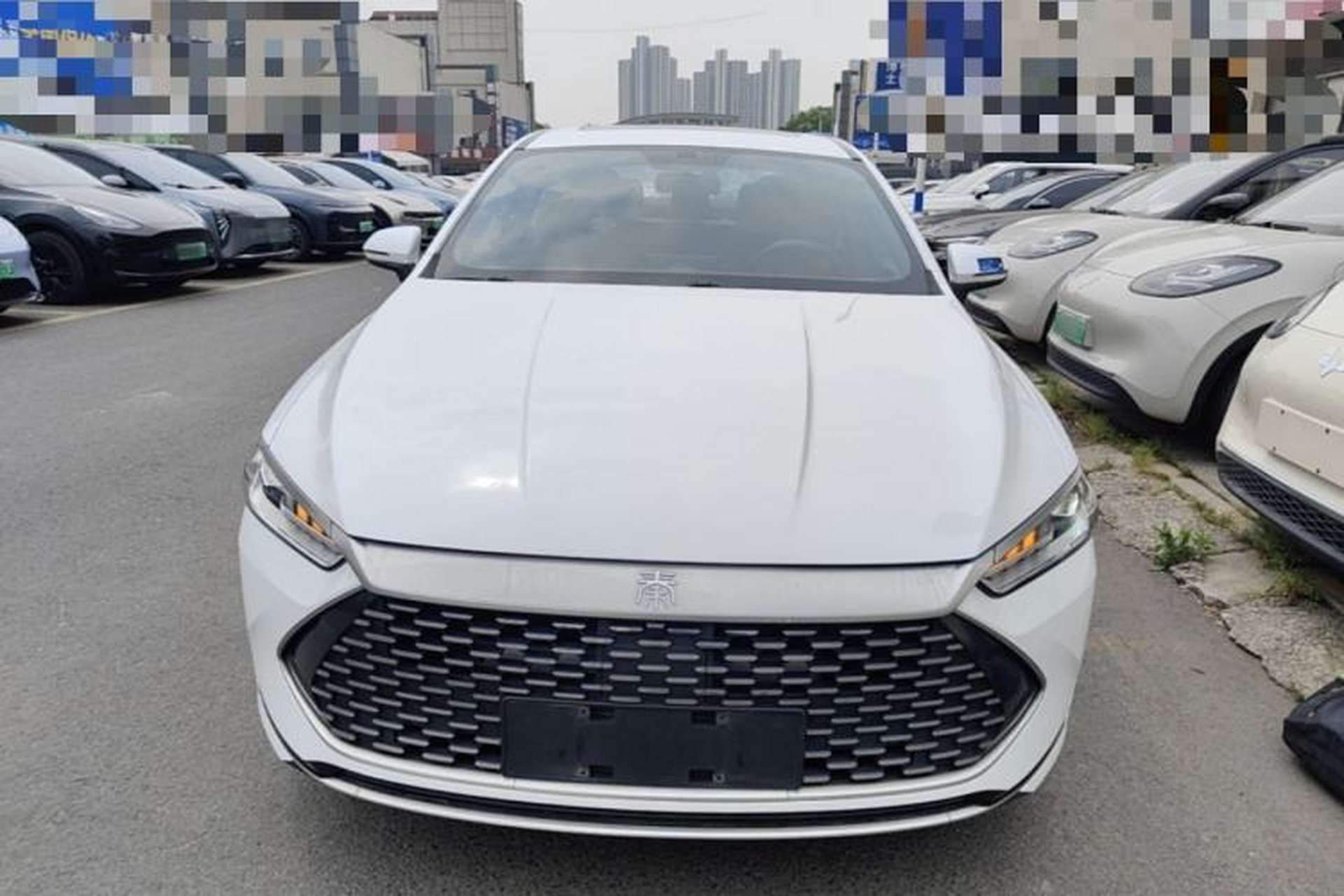 Used BYD Qin PLUS 2021 DM-i 55KM Flagship Model Front