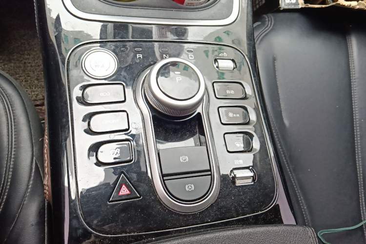 Used BYD Qin PLUS 2021 EV 420KM Commuter Edition Gear Lever