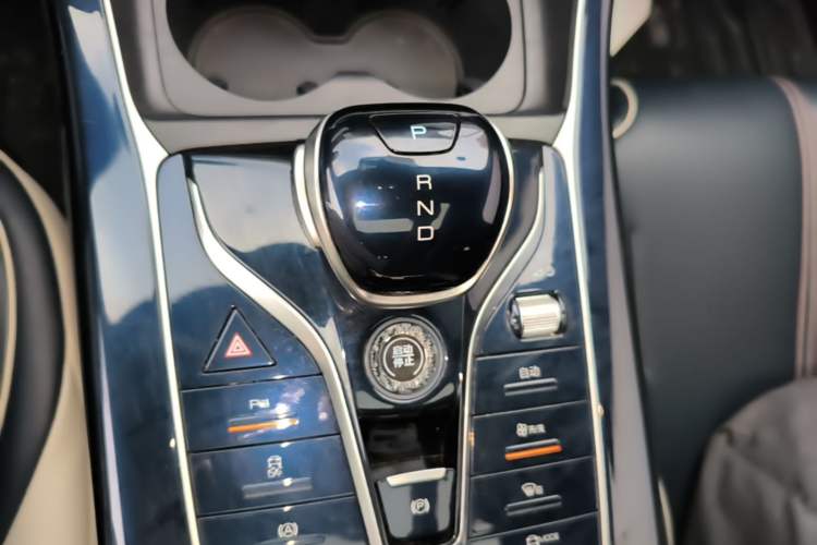 Used BYD Qin PLUS 2021 EV 500KM Luxury Model Gear Lever