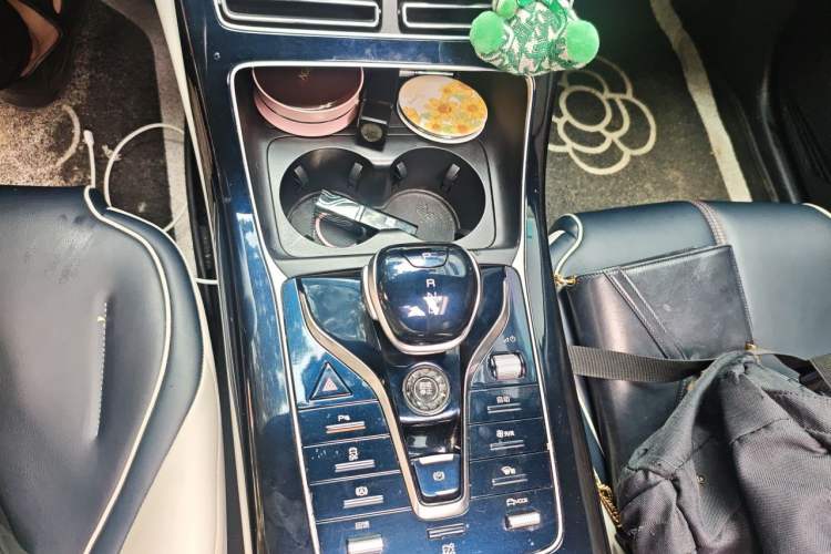 Used BYD Qin PLUS 2021 EV 500KM Luxury Model Gear Lever