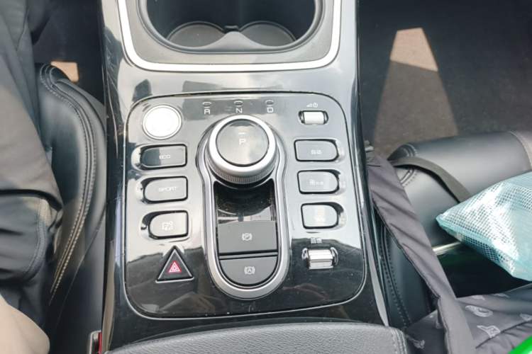 Used BYD Qin PLUS 2021 EV 400KM Leading Comfort Edition Gear Lever
