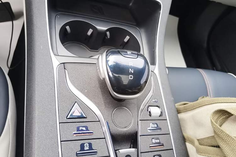 Used BYD Qin PLUS 2021 EV 500KM Luxury Model Gear Lever