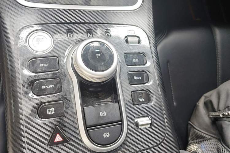 Used BYD Qin PLUS 2021 EV 400KM Leading Comfort Edition Gear Lever