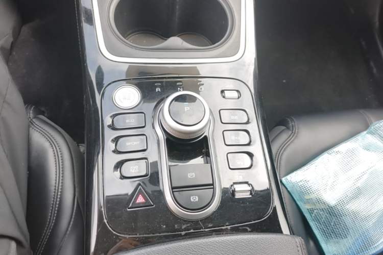 Used BYD Qin PLUS 2021 EV 400KM Leading Comfort Edition Gear Lever