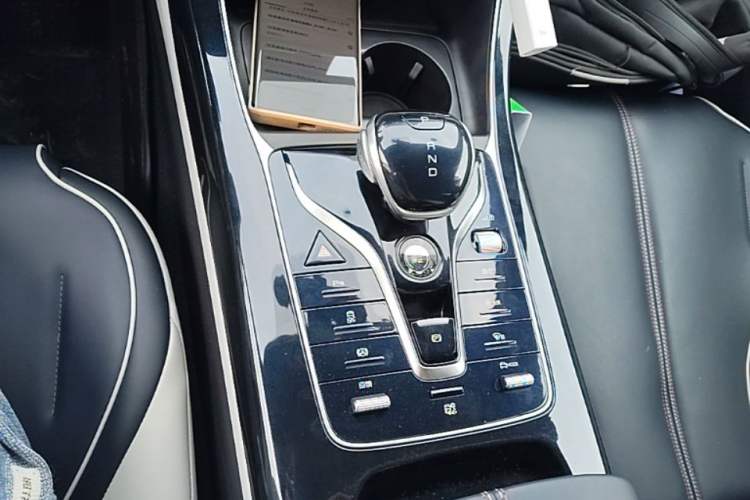 Used BYD Qin PLUS 2021 EV 500KM Luxury Model Gear Lever