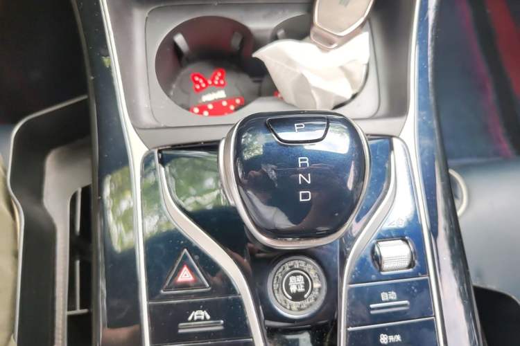 Used BYD Qin PLUS 2021 EV 600KM Flagship Model Gear Lever