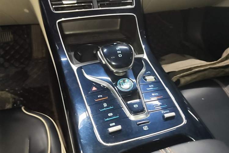 Used BYD Qin PLUS 2021 EV 500KM Luxury Model Gear Lever