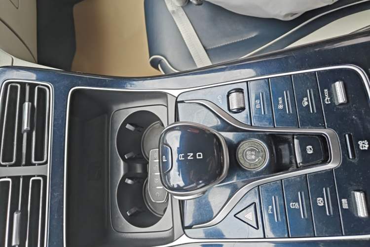 Used BYD Qin PLUS 2021 EV 500KM Luxury Model Gear Lever