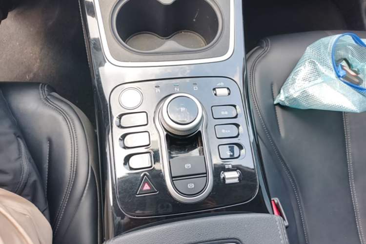Used BYD Qin PLUS 2021 EV 400KM Leading Comfort Edition Gear Lever