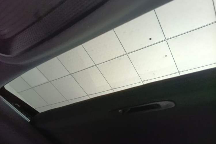 Used BYD Qin PLUS 2021 EV 500KM Luxury Model Headliner