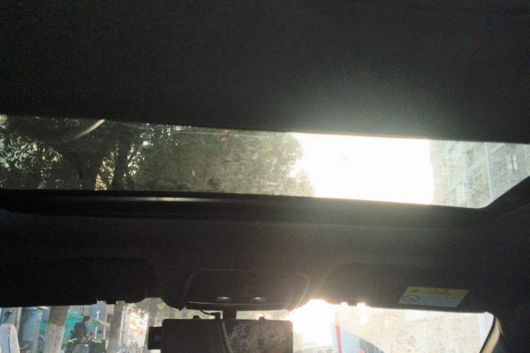 Used BYD Qin PLUS 2021 EV 500KM Luxury Model Headliner