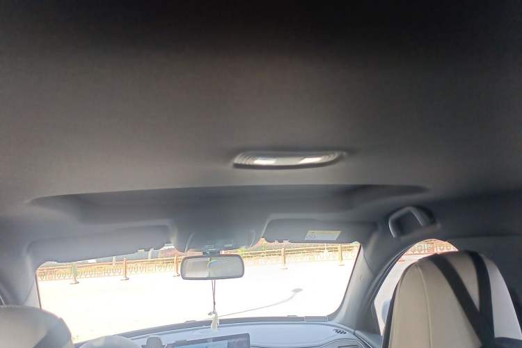 Used BYD Qin PLUS 2021 EV 500KM Luxury Model Headliner