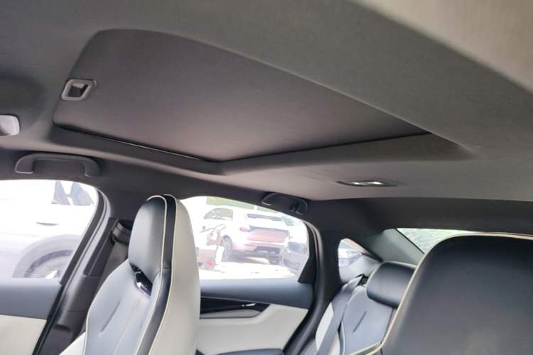 Used BYD Qin PLUS 2021 EV 500KM Luxury Model Headliner