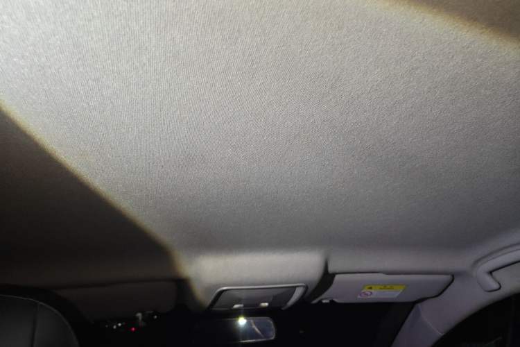 Used BYD Qin PLUS 2021 EV 400KM Leading Comfort Edition Headliner