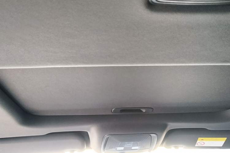 Used BYD Qin PLUS 2021 EV 400KM Luxury Model Headliner