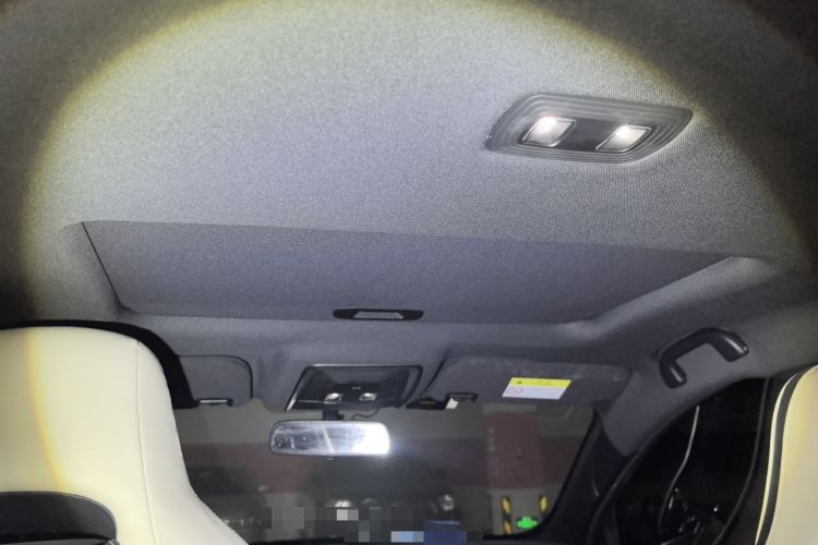 Used BYD Qin PLUS 2021 EV 400KM Luxury Model Headliner