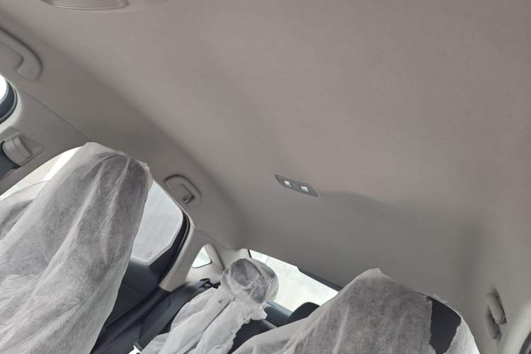 Used BYD Qin PLUS 2021 EV 400KM Leading Comfort Edition Headliner