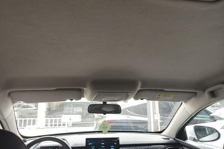 Used BYD Qin PLUS 2021 EV 400KM Leading Comfort Edition Headliner